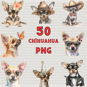 50 Aquarell Chihuahua Clipart PNG Bundle - - Persönliche und kommerzielle Nutzung