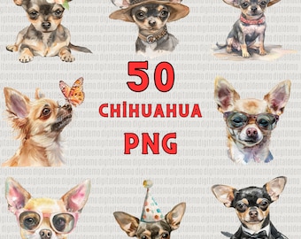 50 Watercolor  Chihuahua   Clipart PNG Bundle -  - Personal and Commercial use
