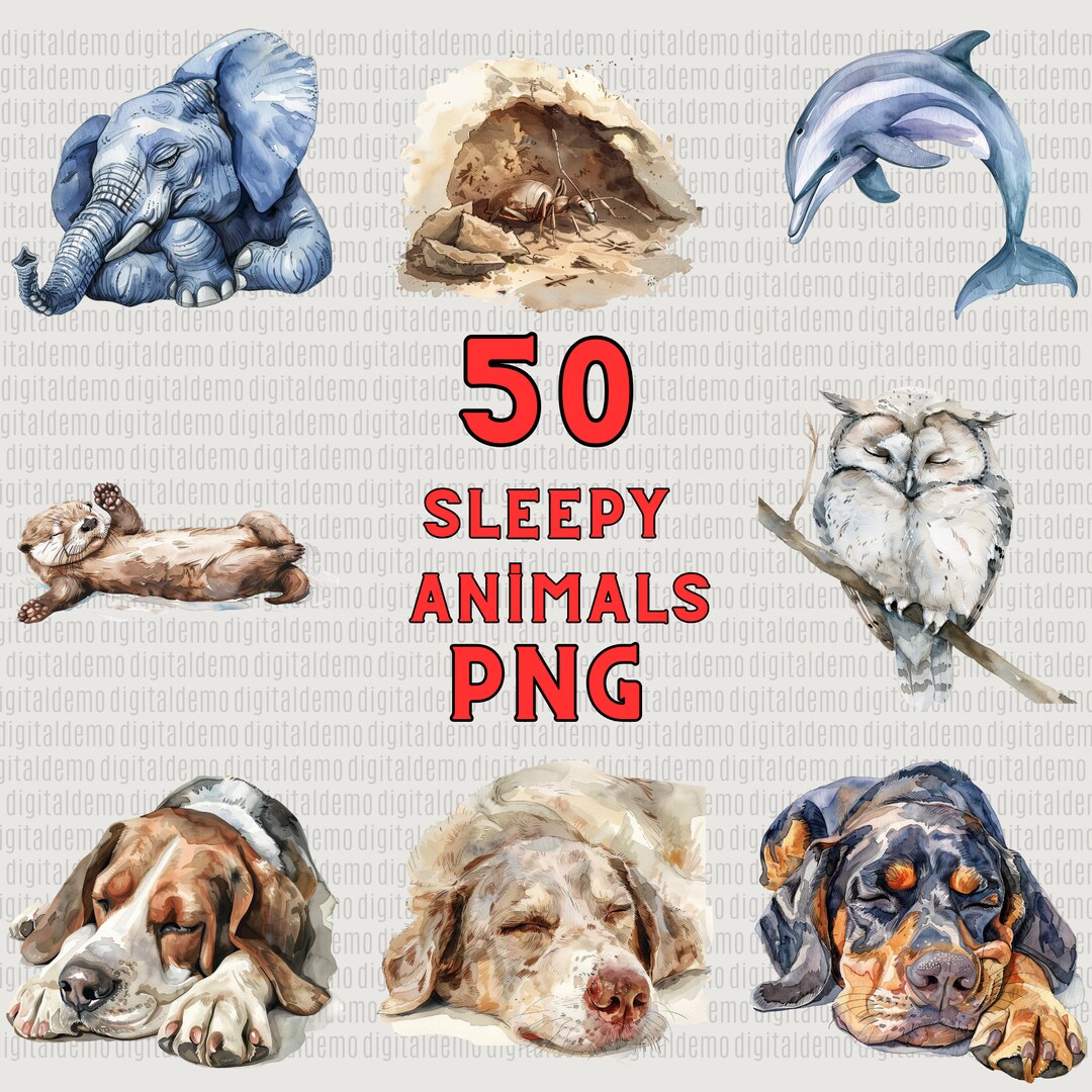 50 Watercolor Sleepy Animals Clipart PNG Bundle - - Personal and ...