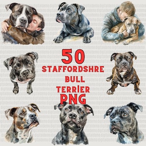 Paquete de 50 imágenes prediseñadas de Staffordshire Bull Terrier en acuarela (PNG) - Uso personal y comercial