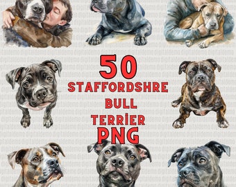 50 Watercolor Staffordshire Bull Terrier Clipart PNG Bundle -  - Personal and Commercial use