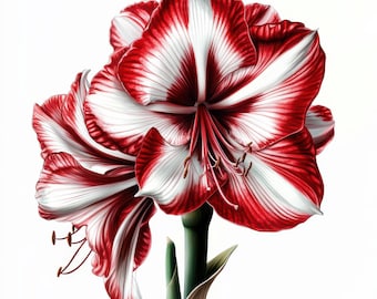 12 Elegant Flower Clipart | Watercolor Elegant Floral Illustrations for Romantic Journals jpg – Printables | Commercial Use