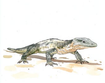 25 Crocodile Digital Clipart | High-Resolution | Wildlife & Fun Designs for Card Making, Junk Journals | Instant Digital Download