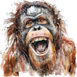 Ludique orangs-outans Clipart 10 haute résolution aquarelle jpg journaux indésirables, fabrication de cartes, Kit de téléchargement numérique, fantastique, fantaisiste