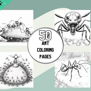 Puede incluir: Una ilustración en blanco y negro de 50 páginas para colorear de hormigas. La portada presenta cuatro ilustraciones diferentes de hormigas, incluyendo una hormiga que lleva una roca grande, una hormiga con una cabeza grande y dientes afilados, y una hormiga de pie sobre una roca.