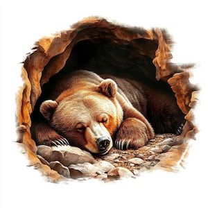 25 Bär im Winterschlaf Digital Clipart | Hochauflösende | Gemütliche, von der Natur inspirierte Designs für die Kartenherstellung, Junk Journals, sofortiger digitaler Download