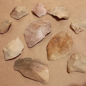 May include: A collection of nine different-sized and shaped stones, some with a reddish hue, others with a brown or beige color. The stones are arranged on a light brown surface.