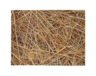 Hay blanket! Enjoy!