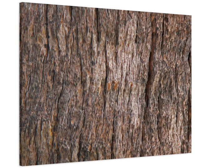 Bring the outside inside. Tree bark. Enjoy!