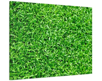 Call me crazy but who doesn’t love a fresh cut clean lawn. This would make a cool addition to any man cave. Enjoy!