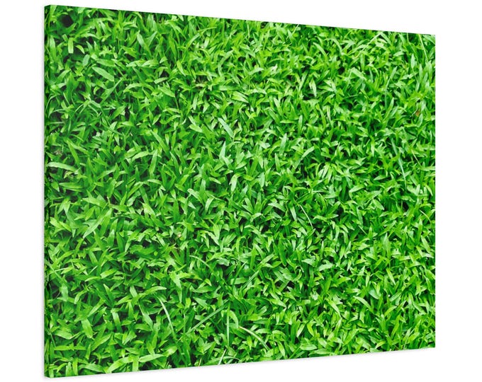 Call me crazy but who doesn’t love a fresh cut clean lawn. This would make a cool addition to any man cave. Enjoy!