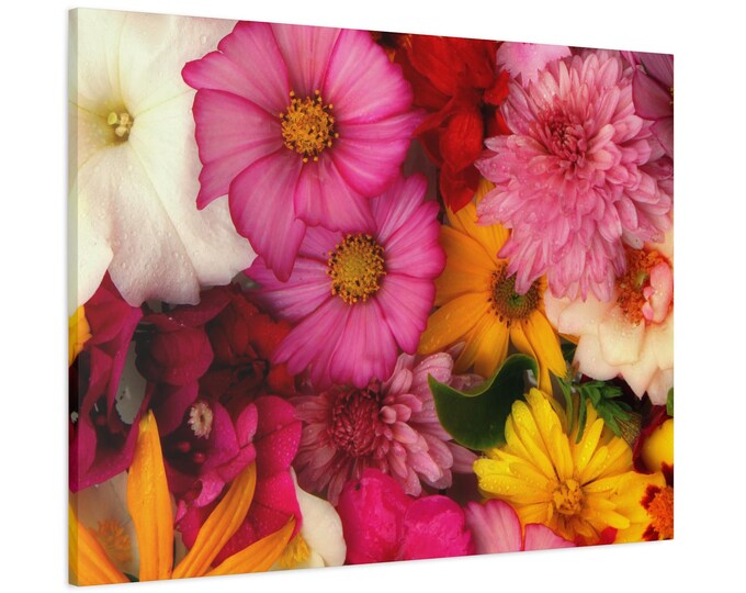 Brilliant and detailed. A wildflower photograph. Enjoy!