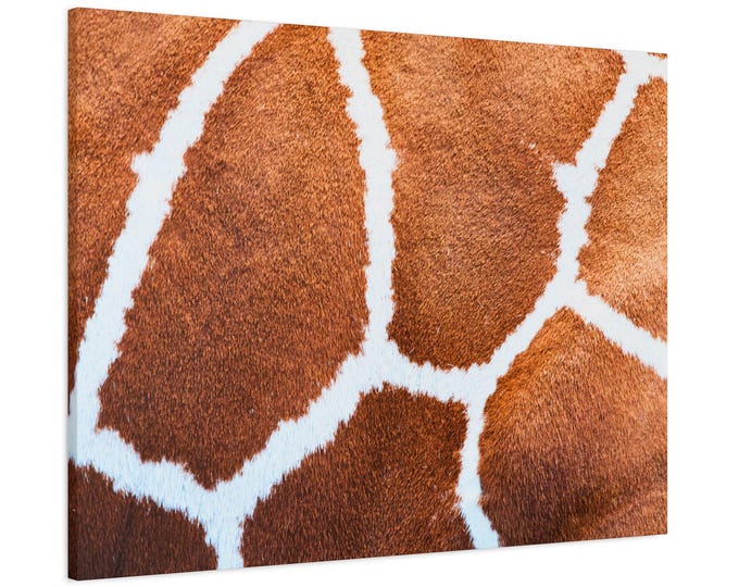 It’s a giraffe. Enjoy!