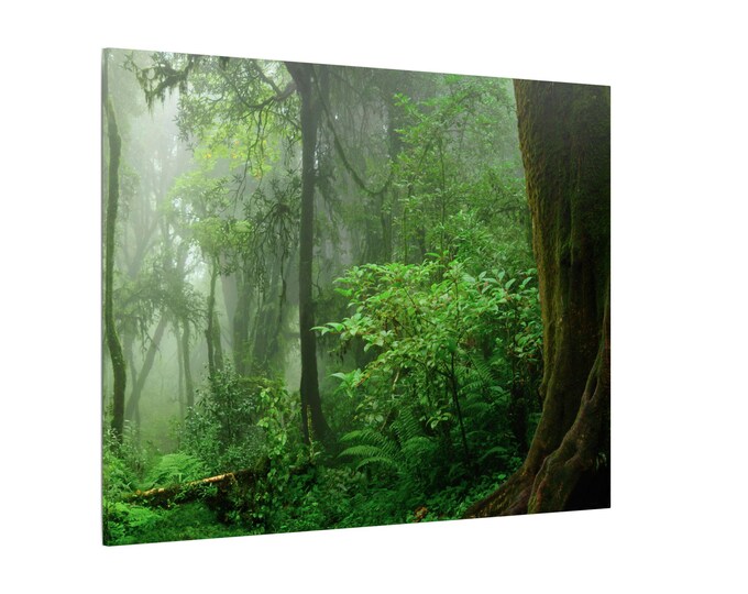 Jungle Inspired Canvas Print