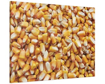 Wall Art Corn Photography. Thank you to the farmers. Enjoy!