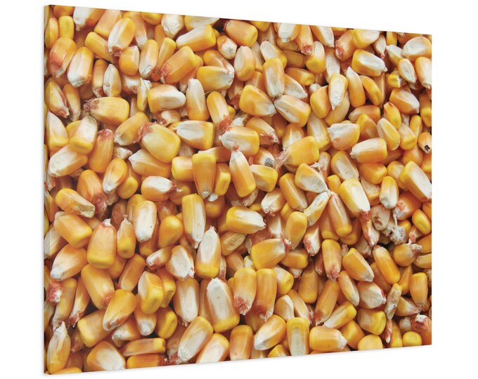 Wall Art Corn Photography. Thank you to the farmers. Enjoy!