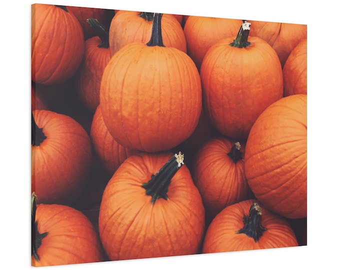 Wall Art Pumpkin Canvas Print Country Home Living Farm House Harvest Decor