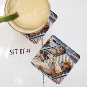 Dog Coaster Set of 4, Vintage Beach Home Decor, Pet Lover Gift, Fun Housewarming Present, Pit Bull Mom