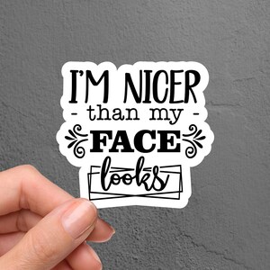 I&#39;m Nicer Than My Face Looks Laptop Sticker Decal, Funny Sticker, Sarcastic Sticker, Tumbler Sticker, Water Bottle Sticker, Adulting Sticker