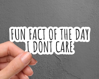 I Don't Care Laptop Sticker, Funny Sticker, Trending Sticker, Tumbler Sticker, Water Bottle Sticker, Sarcastic Sticker, Water Bottle Decal