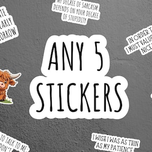Any 5 Stickers, Sticker Pack, Sticker Bundle, Funny Stickers, Laptop Stickers, Water Bottle Stickers, Notebook Stickers, Choose Any 5