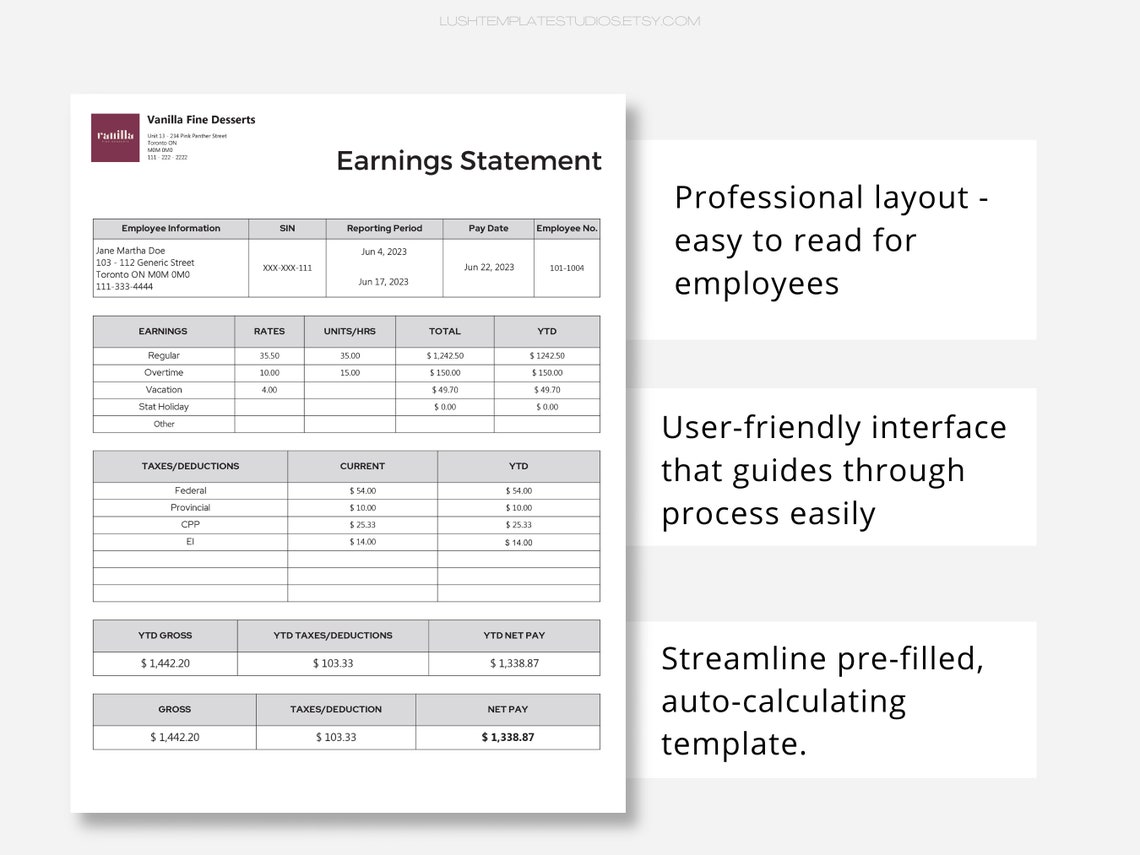 Professional Earnings Statement Small Business Payroll - Etsy Canada