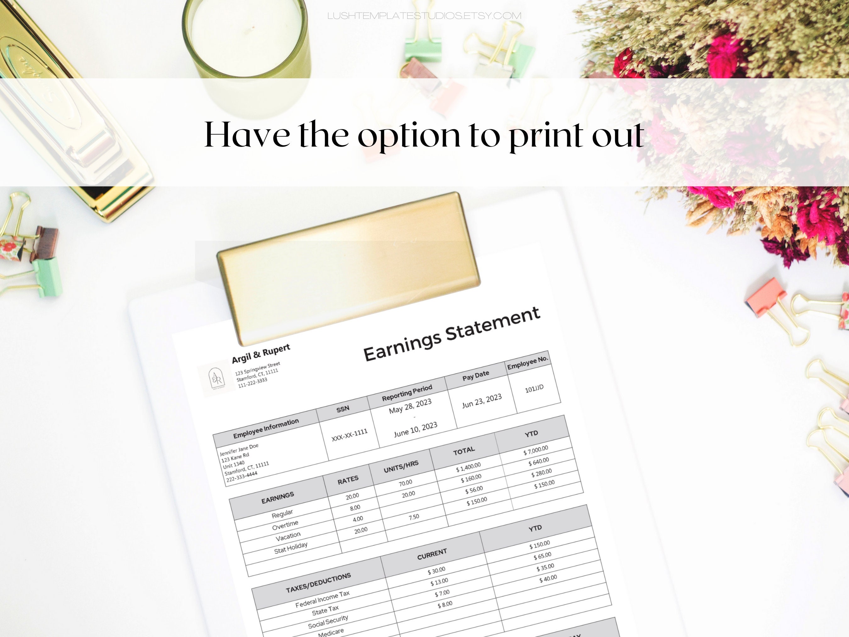 US Professional Earnings Statement | Small Business Payroll Cheque ...