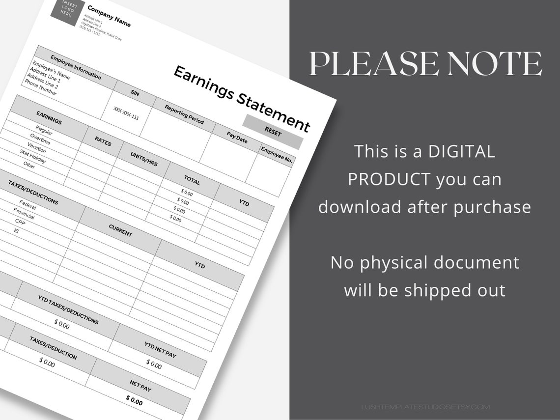 Professional Earnings Statement Small Business Payroll - Etsy Canada