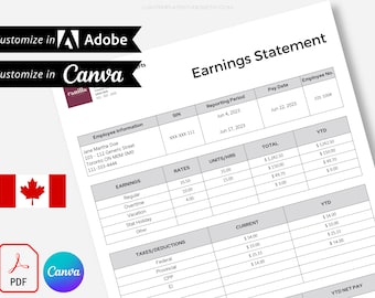 Professional Earnings Statement | Small Business Payroll Cheque | Canadian Pay Stub | Auto Calculating Form
