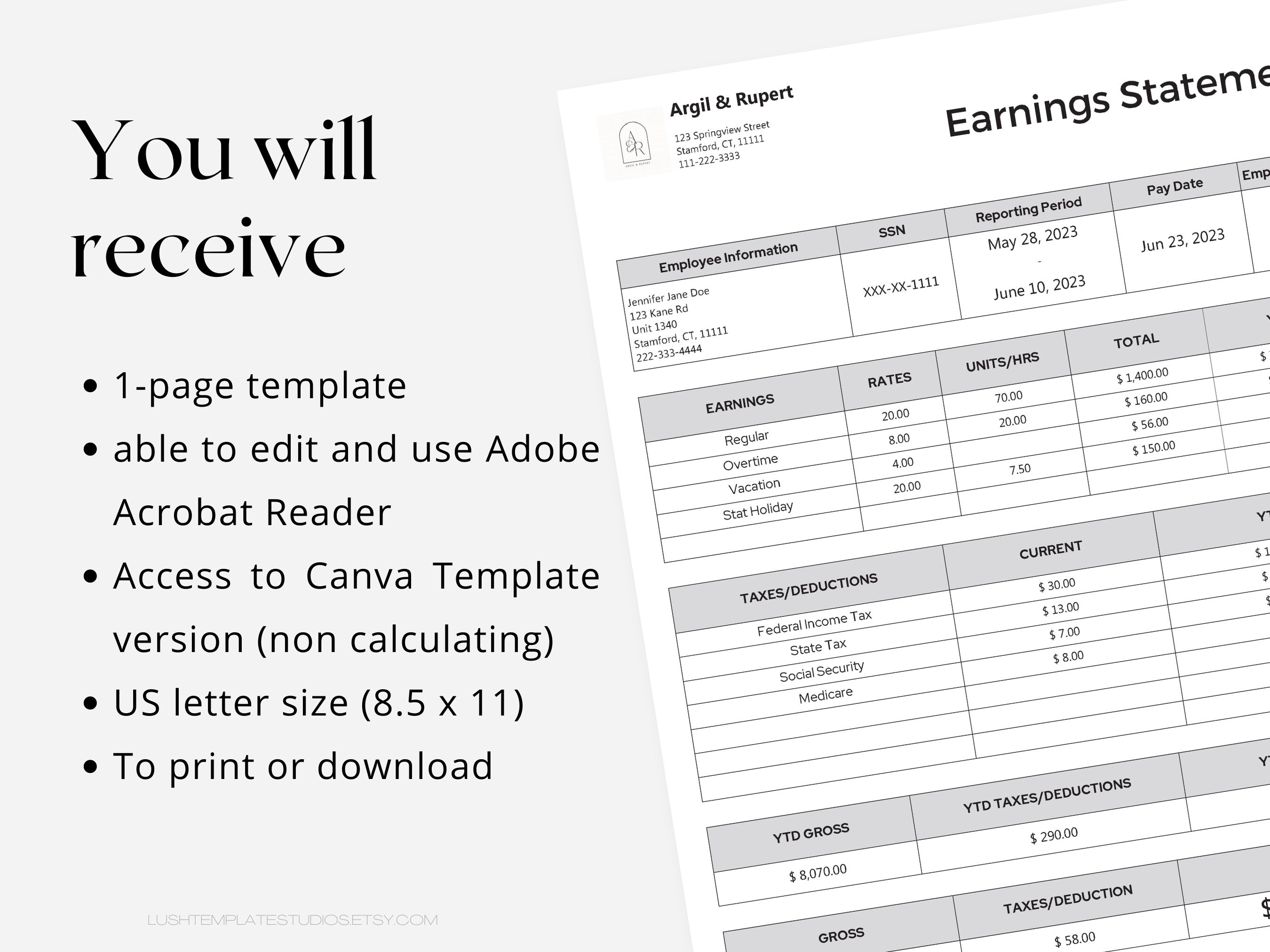 US Professional Earnings Statement | Small Business Payroll Cheque ...