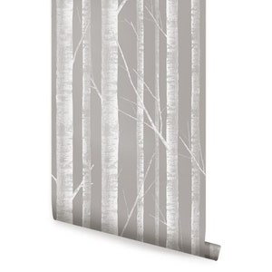 Birch Tree White Grey Wallpaper