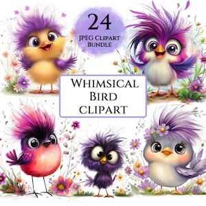 Whimsical Birds Clipart Bundle, Quirky Funny Colorful Birds Clipart, Sublimation Designs, Card Making Scrapbooking Digital Download JPGs
