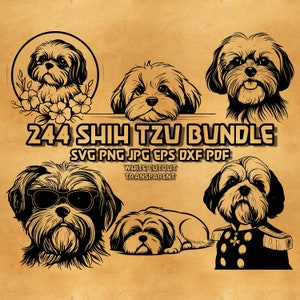 Paquete de archivos SVG de Shih Tzu: Floral, Vaquero, Caballero, Perro asomándose (Producto digital)