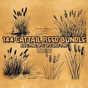Cattail Reed Svg Bundle, Lake Shore Wild Grass Svg, Pampass Grass Svg, Grass silhouette, Meadow Grass Svg, Wild grass Svg, Marsh Typha Svg