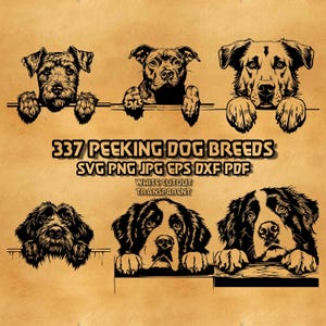 May include: A digital collection of 337 peeking dog breed illustrations in black and white. The graphic features six distinct dog portraits with paws resting on a ledge. Text reads 337 PEEKING DOG BREEDS SVG PNG JPG EPS DXF PDF WHITE CUTOUT TRANSPARENT.