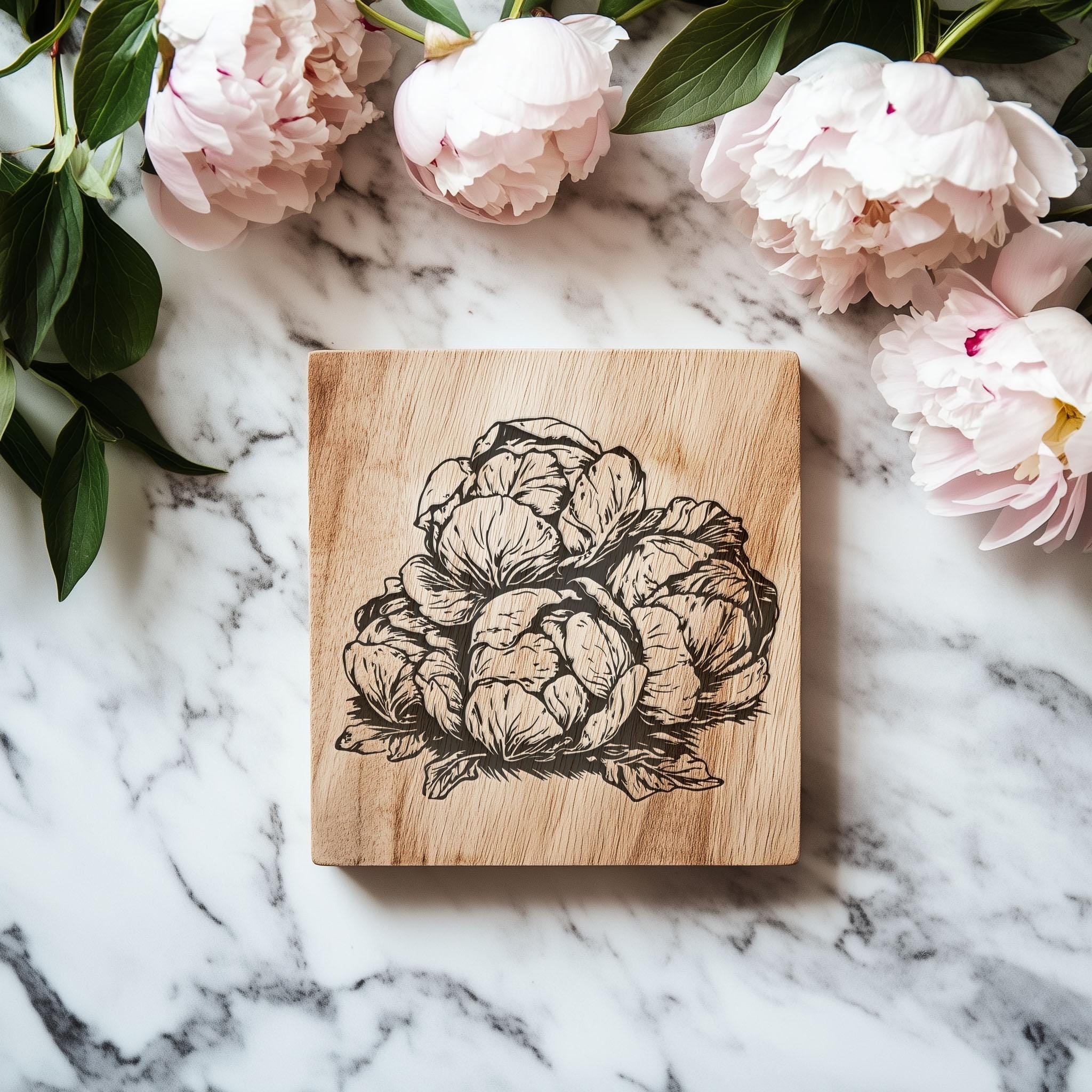 Fresh Cabbage SVG Bundle: Garden Art Graphics (instant Download) - Etsy