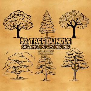 Tree SVG Bundle: Pine, Silhouette, Family Tree (Digital File)