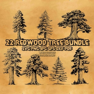 Redwood Tree Svg Bundle, Trees Clipart, Redwood Tree Laser Engraving File, Big Tree Svg, Giant Tree Svg Png, Coastal Redwood Tree Svg Png