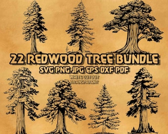 May include: A collection of eight black and white redwood tree illustrations. The image includes the text "22 REDWOOD TREE BUNDLE" and file type information: SVG, PNG, JPG, EPS, DXF, PDF. The words "WHITE CUTOUT" and "TRANSPARENT" are also included.