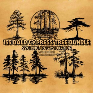 Sumpfzypresse SVG-Bundle, Baum Vektorkunst, Zypresse Monogramm Png, Natur inspirierte Designs für Handwerk, Wasserteich Sumpf Umwelt