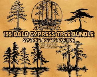 Pakiet SVG z cypryśnikiem łysym 155 projektów Ilustracje bagienne Bayou Line Art Decor Grafika wektorowa Kolekcja plików clipartów cyfrowych