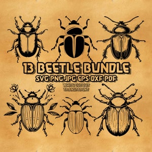 May include: A digital download bundle of 13 black and white beetle illustrations. The beetles are drawn in a vintage style and have intricate details. The text "13 Beetle Bundle" is at the top of the image, and the text "SVG PNG JPG EPS DXF PDF White Cutout Transparent" is below the beetles.