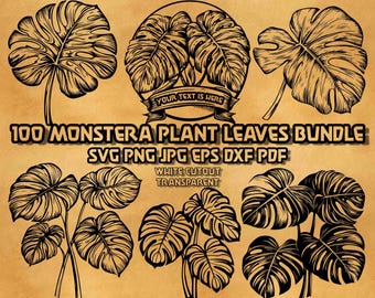 Tropical Monstera Leaf SVG Bundle: Jungle Decor Designs (Digital Files)