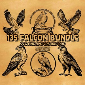 Falcon SVG Bundle, Falcon Circle Style Monogram Design, Majestic Bird of Prey Designs for Crafts, Wildlife Art, and Falconry-Themed Projects
