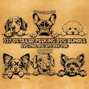 Può includere: Un pacchetto di download digitale di 337 illustrazioni dettagliate di cani che sbirciano. Il pacchetto include 115 razze di cani diverse ed è disponibile nei formati SVG, PNG, JPG, EPS, DXF e PDF. Le immagini sono ritagliate in bianco con uno sfondo trasparente.