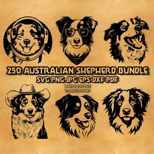 Puede incluir: Una colección gráfica digital que presenta seis ilustraciones en blanco y negro de perros pastores australianos en varios estilos, incluyendo uno con casco espacial y otro con sombrero de vaquero, con el texto 250 AUSTRALIAN SHEPHERD BUNDLE SVG PNG JPG EPS DXF PDF.