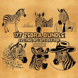 Zebra SVG Bundle: Floral, Gentleman, Cowboy Designs