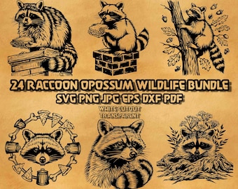 Raccoon SVG Bundle 24 Designs Opossum Trash Panda Illustrations Wildlife Line Art Vector Graphics Digital Design Clipart Collection Set