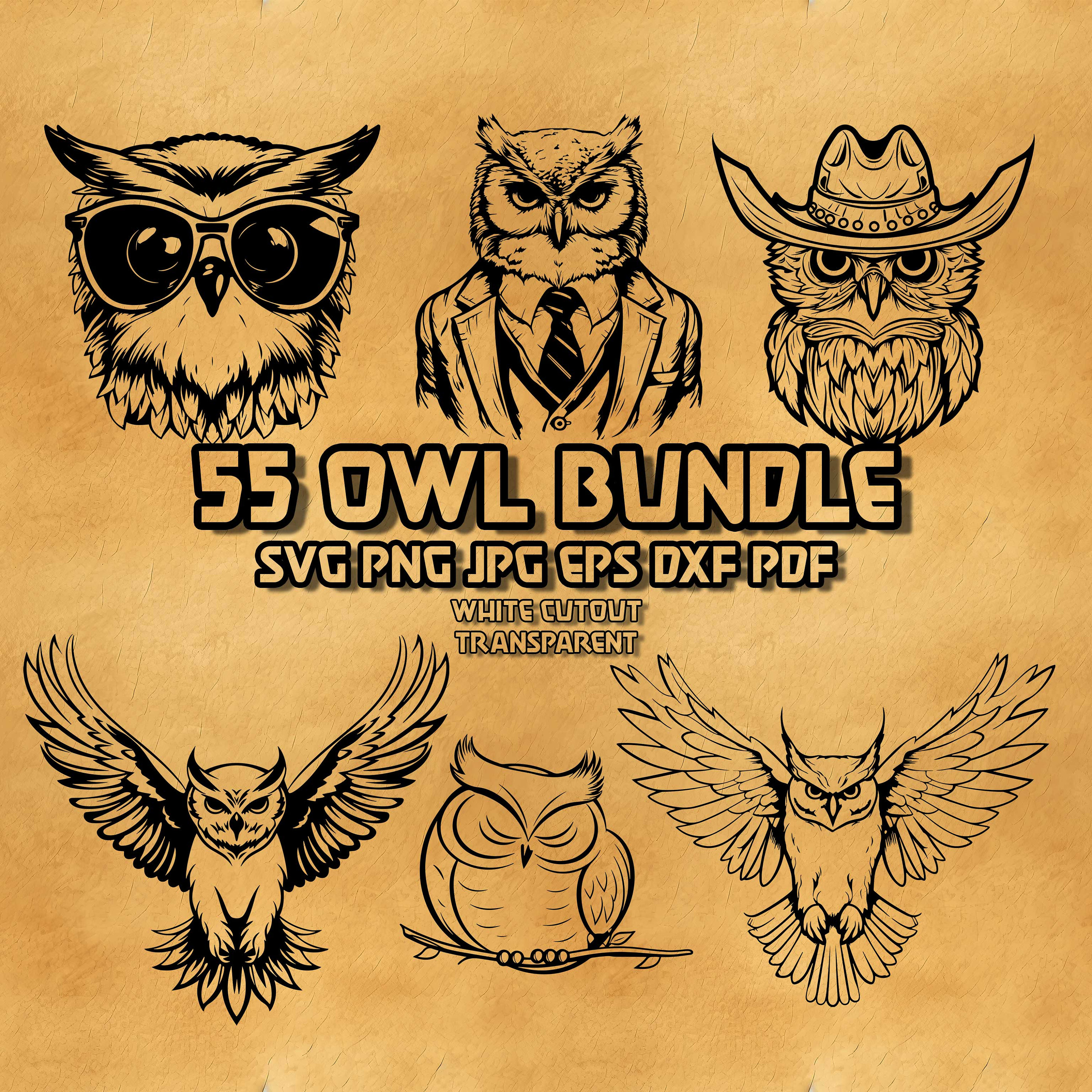 Owl SVG Bundle: Cowboy, Sunglasses, Suit Designs (Digital Download)