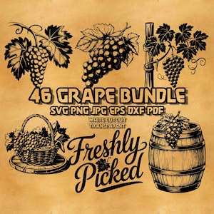 46 Grape SVG Bundle Hand Drawn Vineyard Illustrations Wine Grape Cluster Line Art Laser Engraving Vine Leaf Vector Graphics Rustic Design